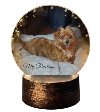 Personalized Acrylic Lamp